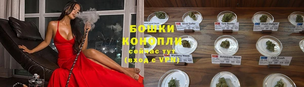 винт Ладушкин