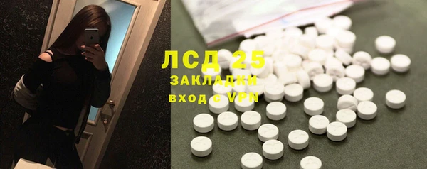 спайс Кулебаки