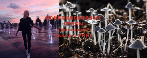 прущая мука Краснослободск
