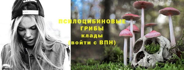 винт Ладушкин