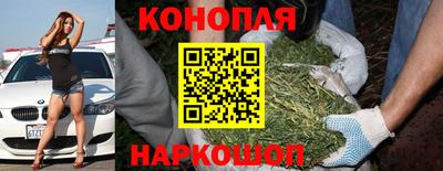 кокаин Кингисепп