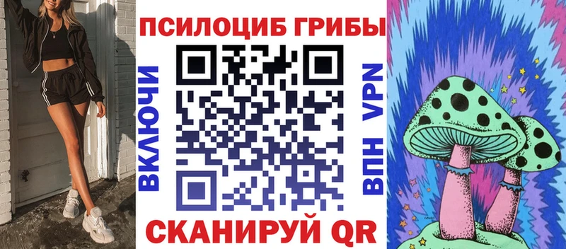 Галлюциногенные грибы Psilocybe  Кушва 