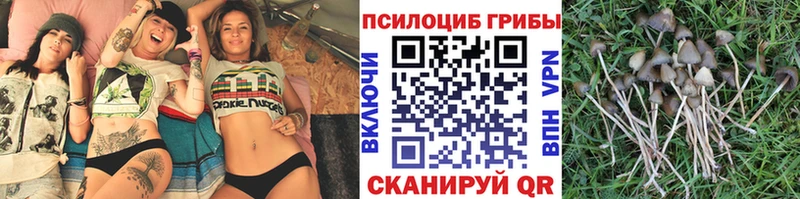 Псилоцибиновые грибы мицелий Кушва