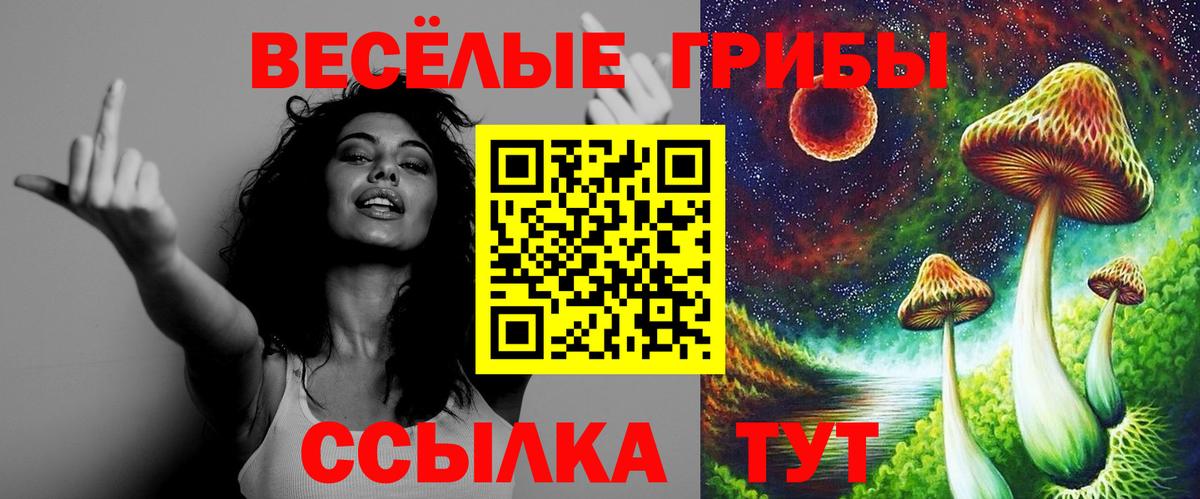 Псилоцибиновые грибы GOLDEN TEACHER Кушва