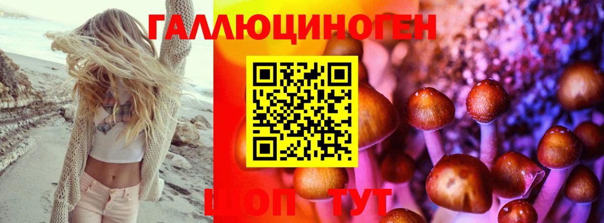Галлюциногенные грибы мухоморы  Вход с VPN  Кушва  Галлюциногенные грибы GOLDEN TEACHER 