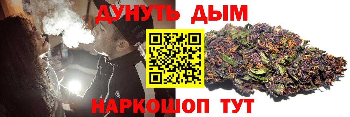 Конопля индика Кушва